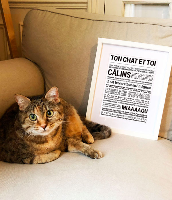 TON CHAT ET TOI