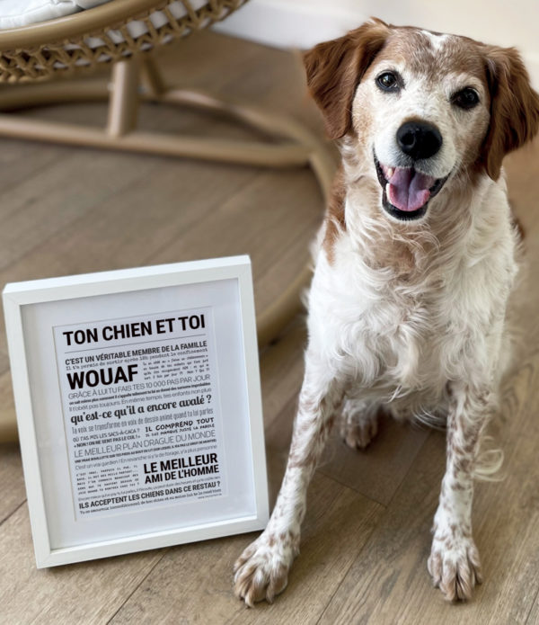 TON CHIEN ET TOI