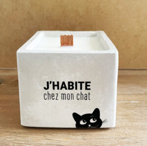 J'HABITE CHEZ MON CHAT
