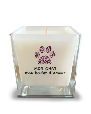 MON CHAT (bougie-leo)