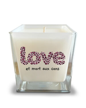 LOVE mort aux cons (bougie-leo)